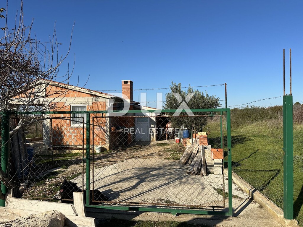 Image 12