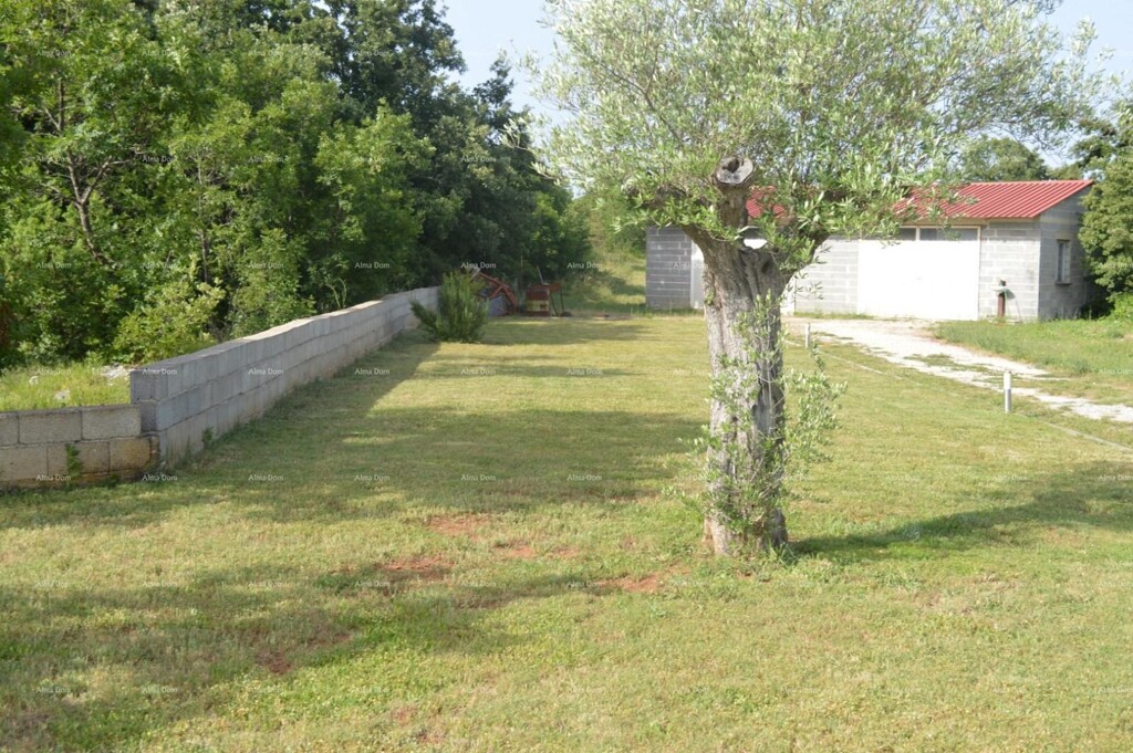 Image 12