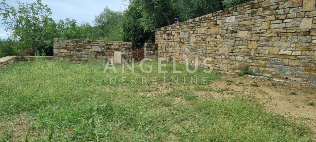 Image 6208412 - 7