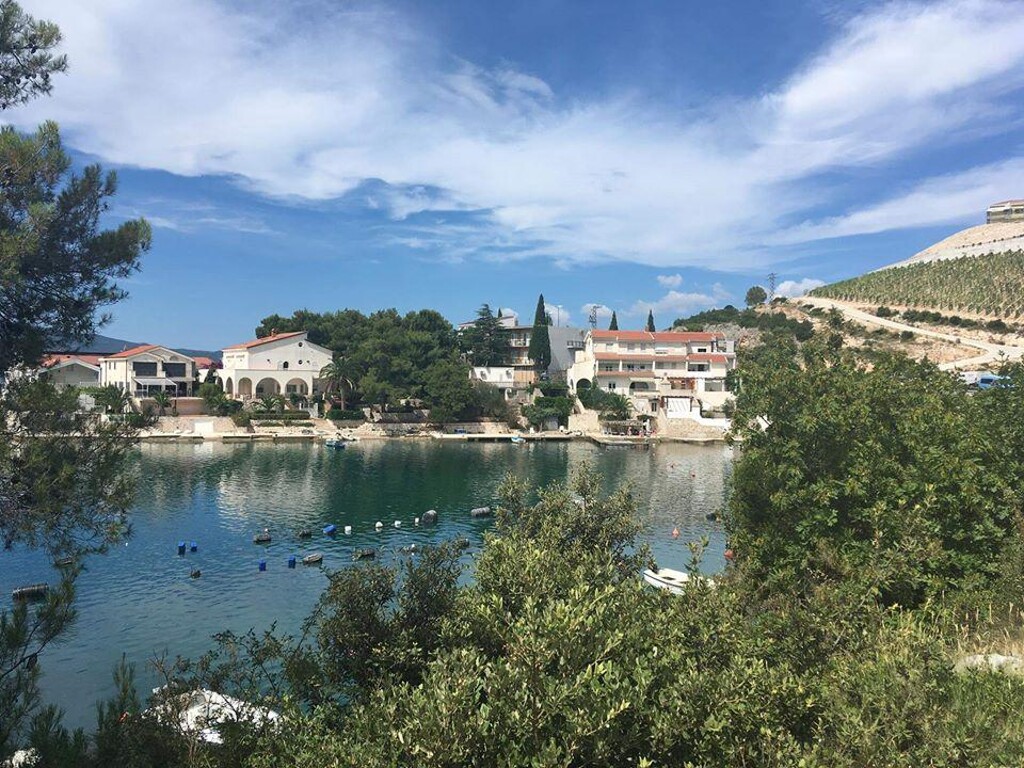 Image 6