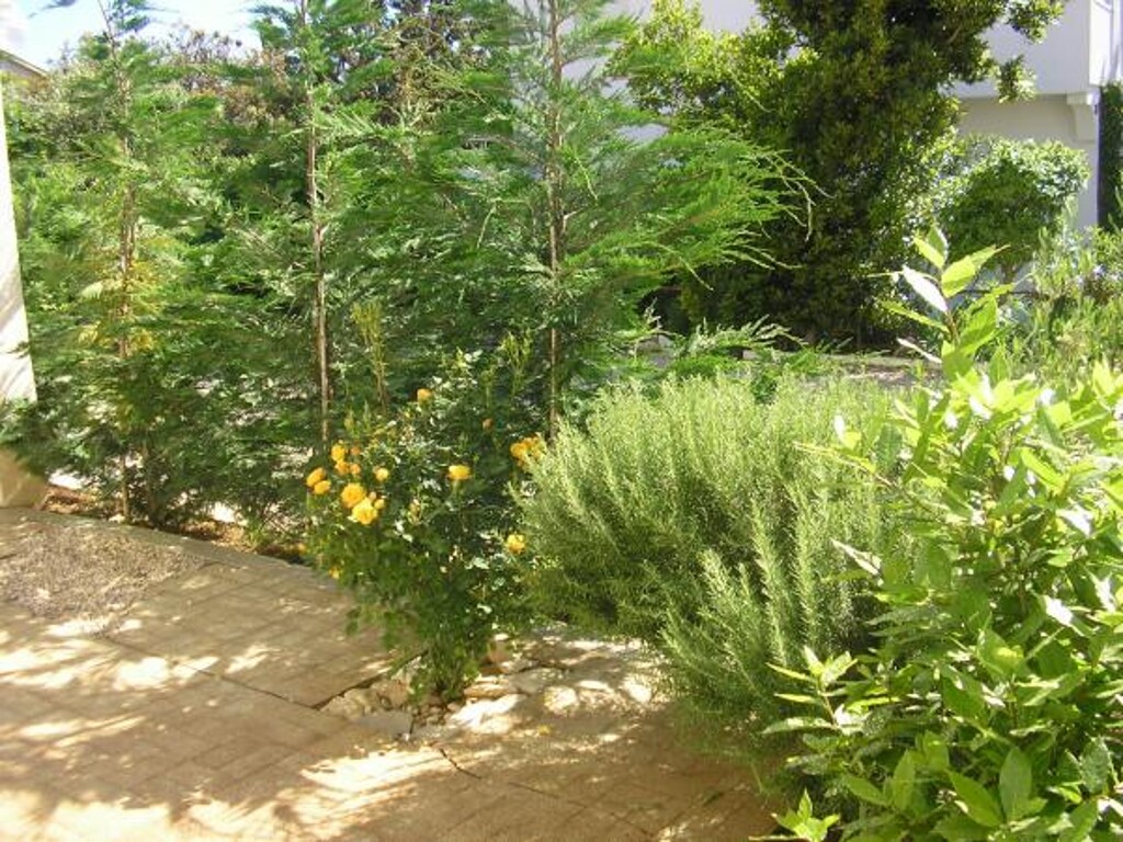 Image 3811044 - 10
