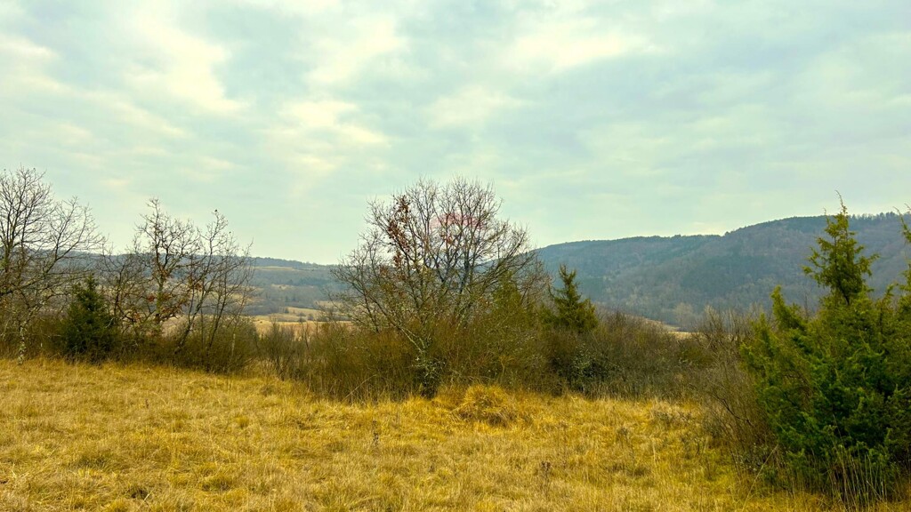 Image 5472195 - 2