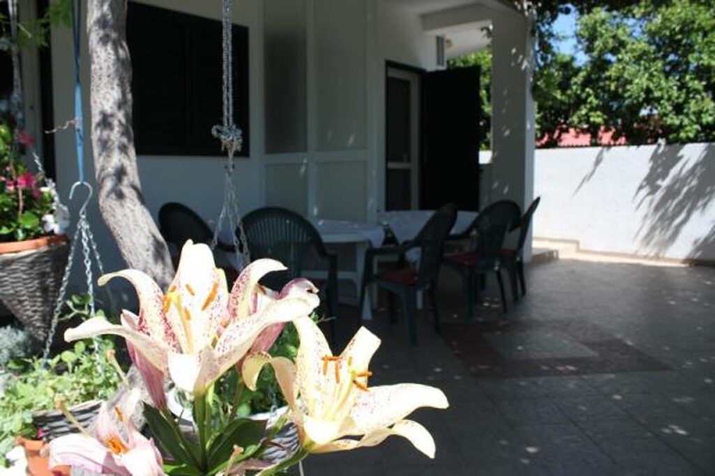 Image 3812474 - 7