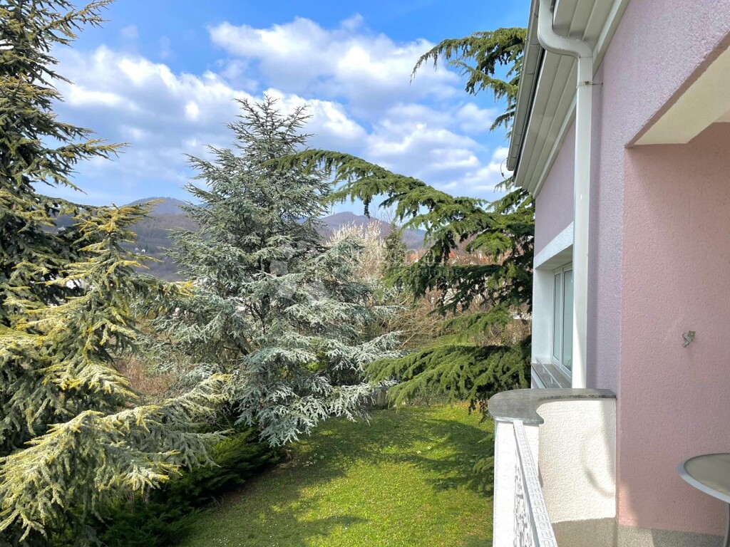 Image 25