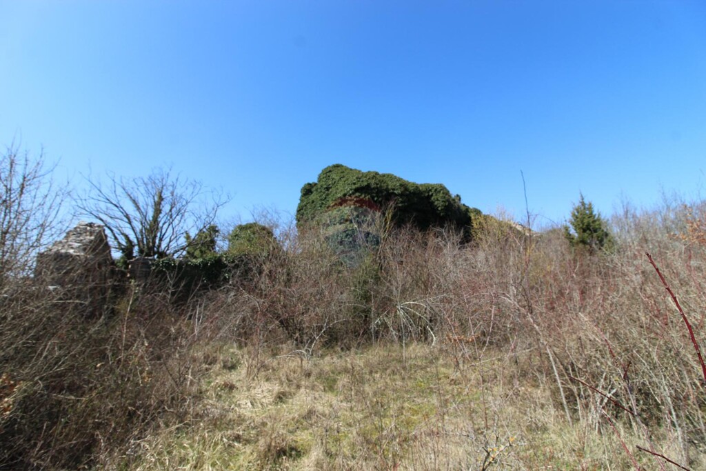 Image 5435886 - 4