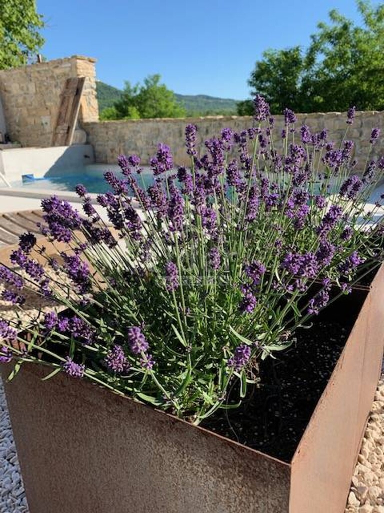Image 20