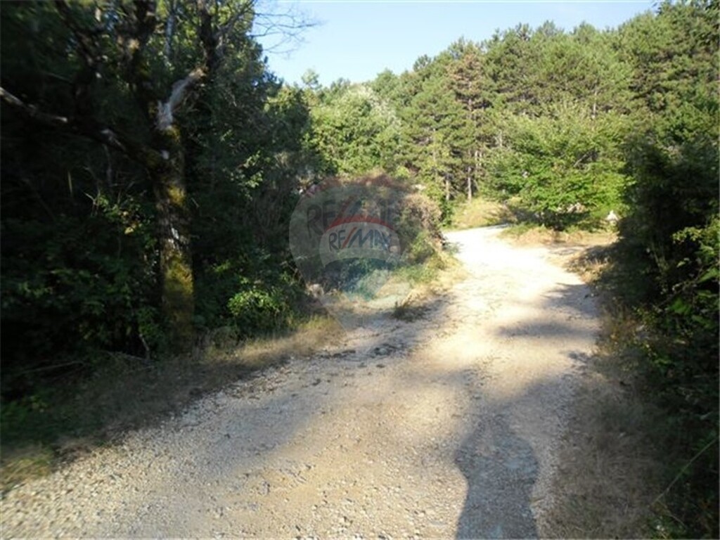 Image 5411027 - 2