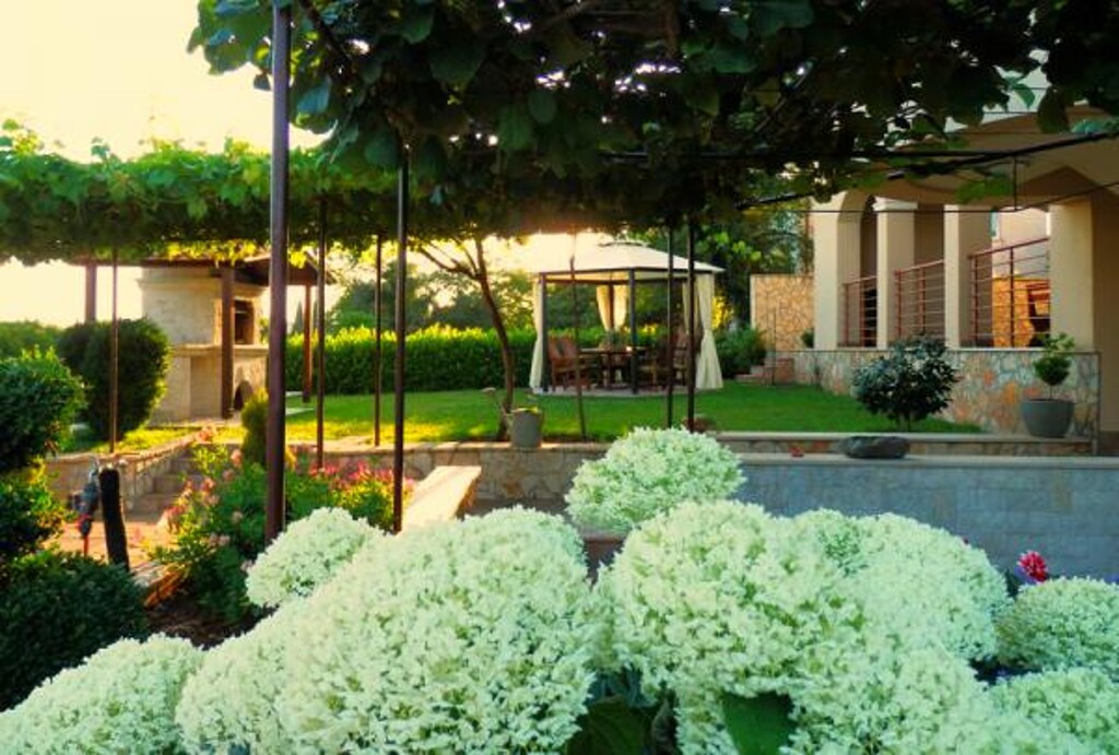 Image 3810875 - 7