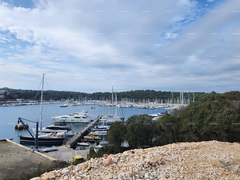 Image 11