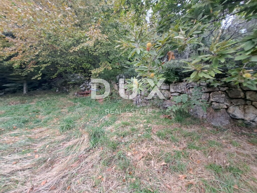 Image 22