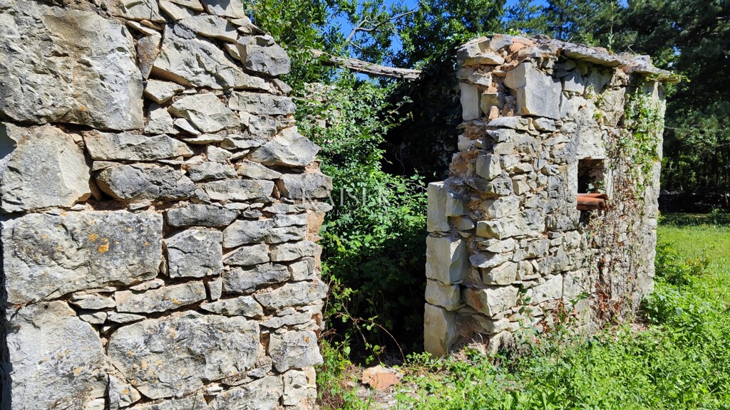 Image 6102407 - 11