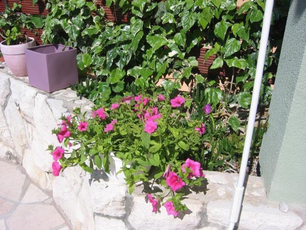 Image 3811576 - 25