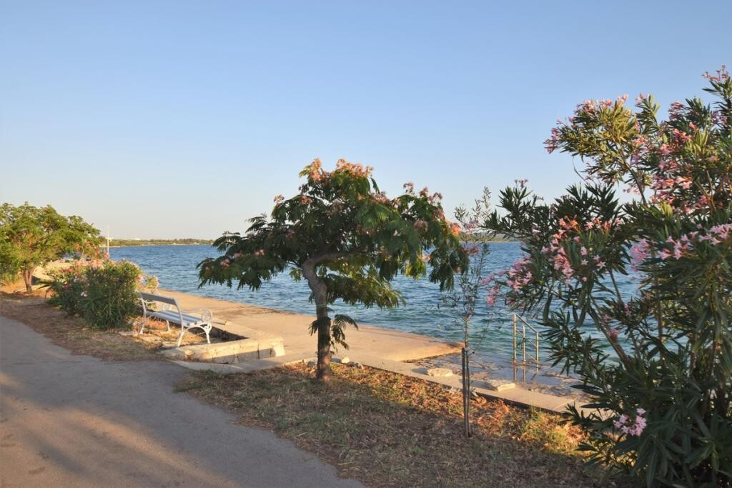 Image 3811866 - 26