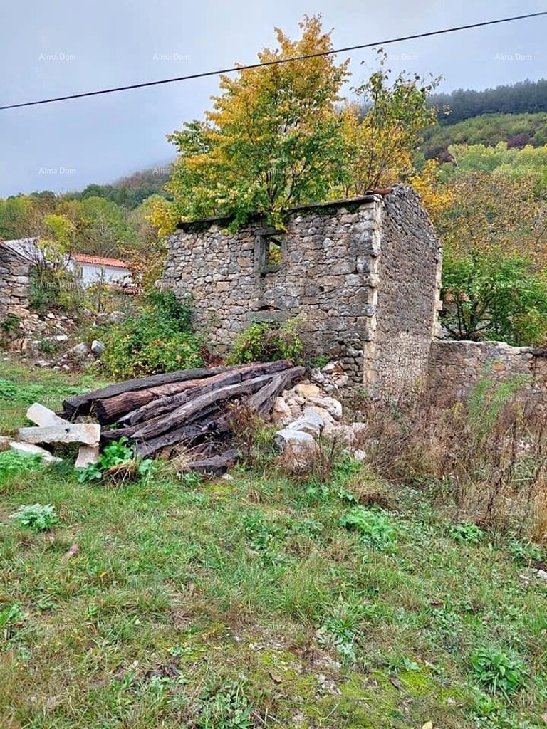 Image 9