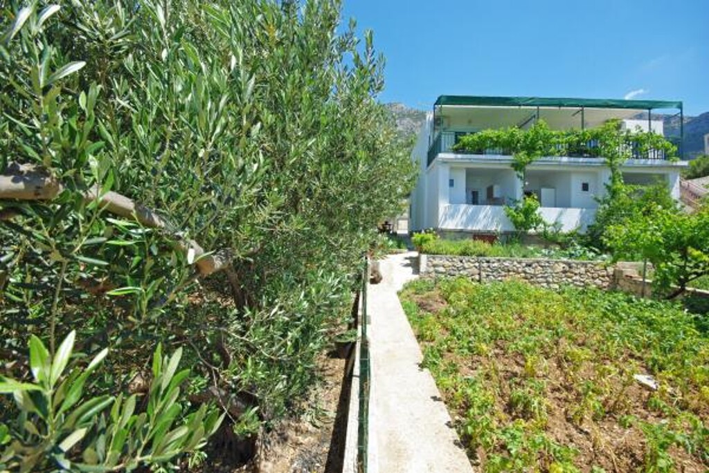 Image 3812767 - 11