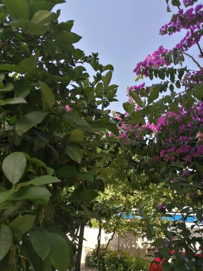 Image 3810564 - 4