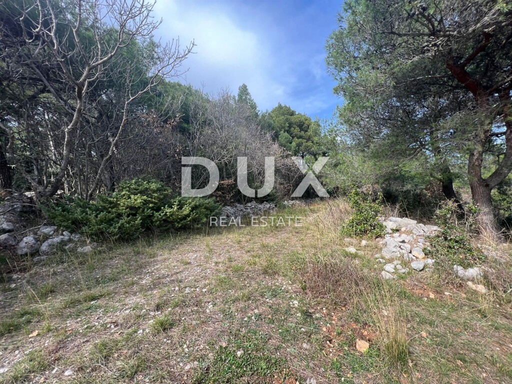 Image 13