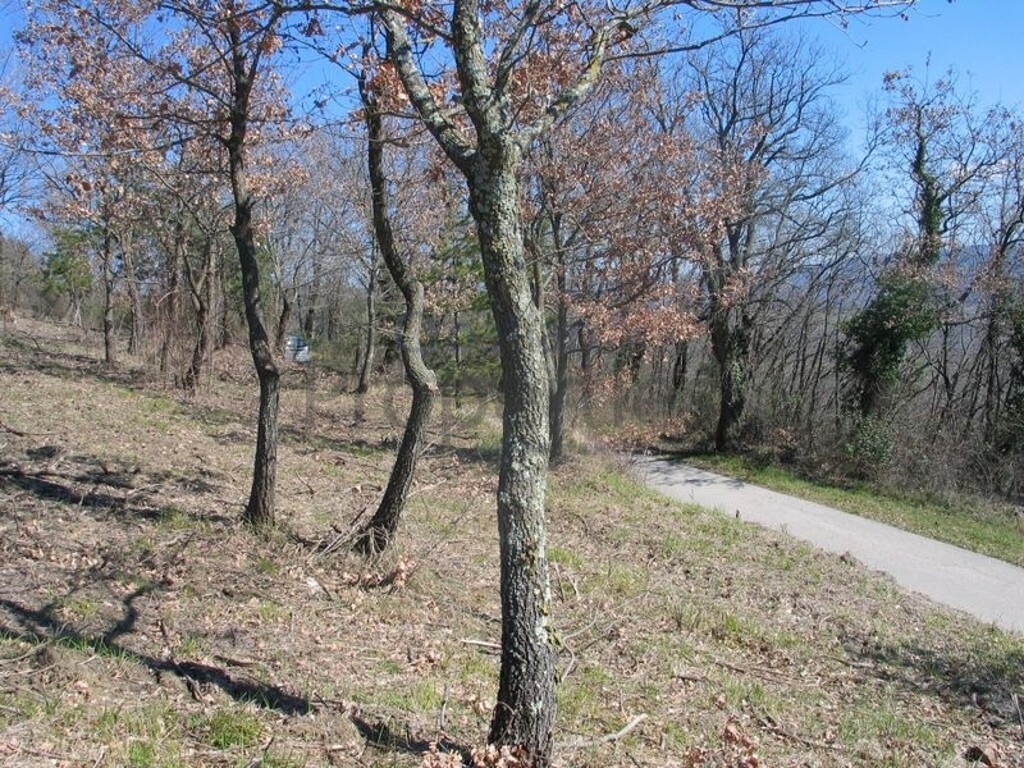 Image 9