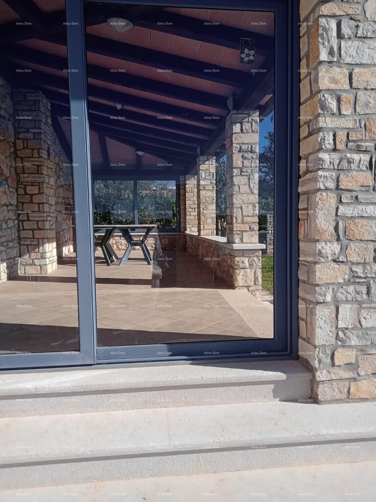 Image 19