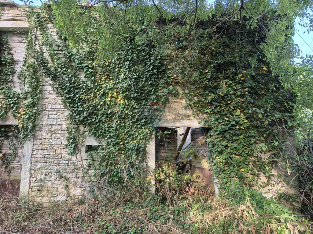 Image 19