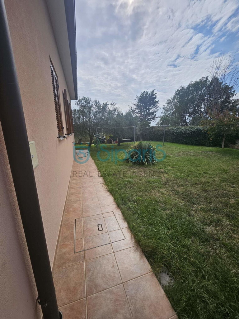 Image 14