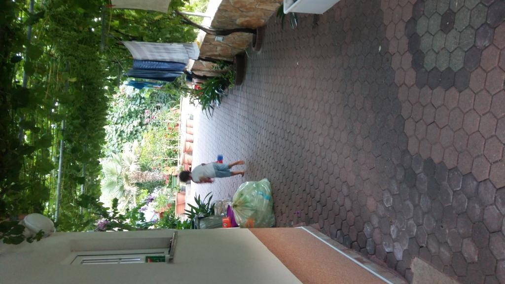 Image 3815245 - 11