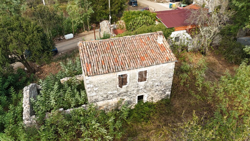 Image 6094516 - 8