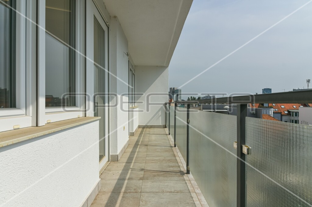 Image 16