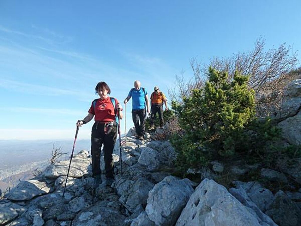 Image 3812028 - 17