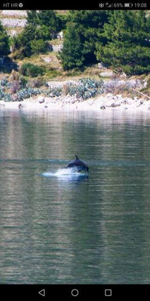 Image 3838729 - 11