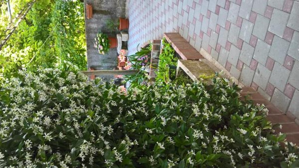 Image 3815319 - 6
