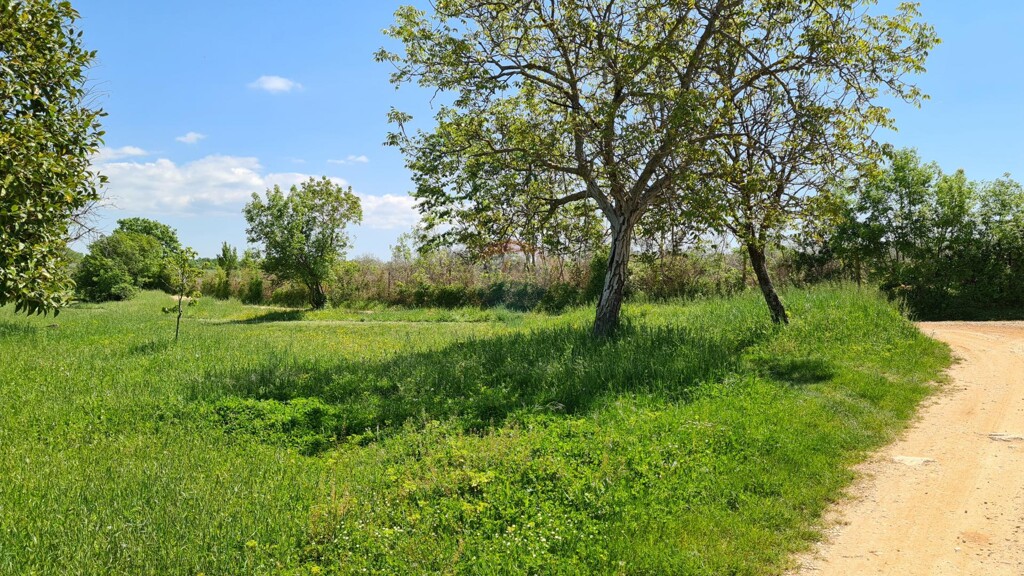 Image 5429960 - 8