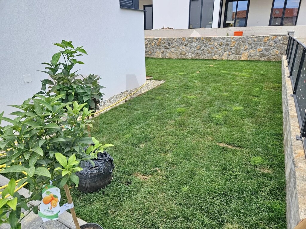 Image 13