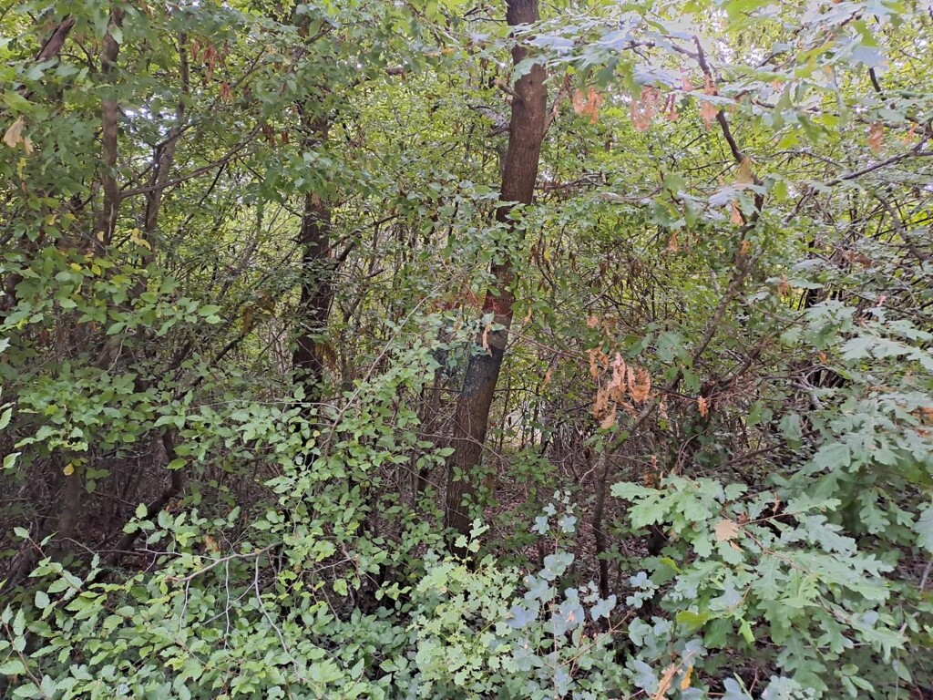 Image 5429198 - 4