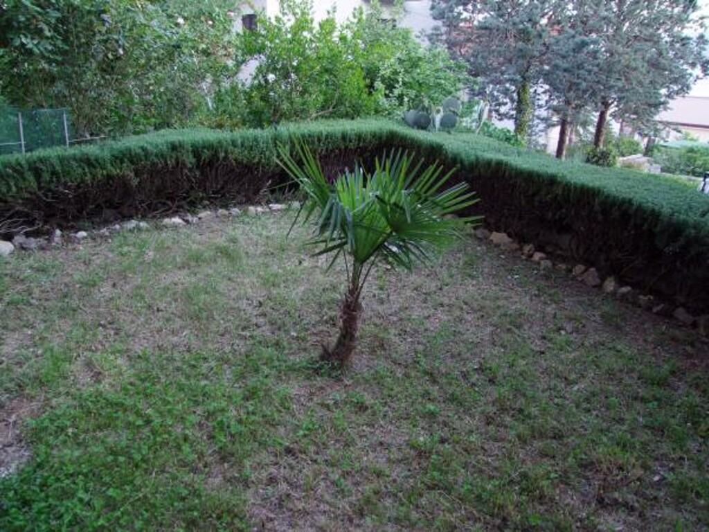 Image 3814035 - 3