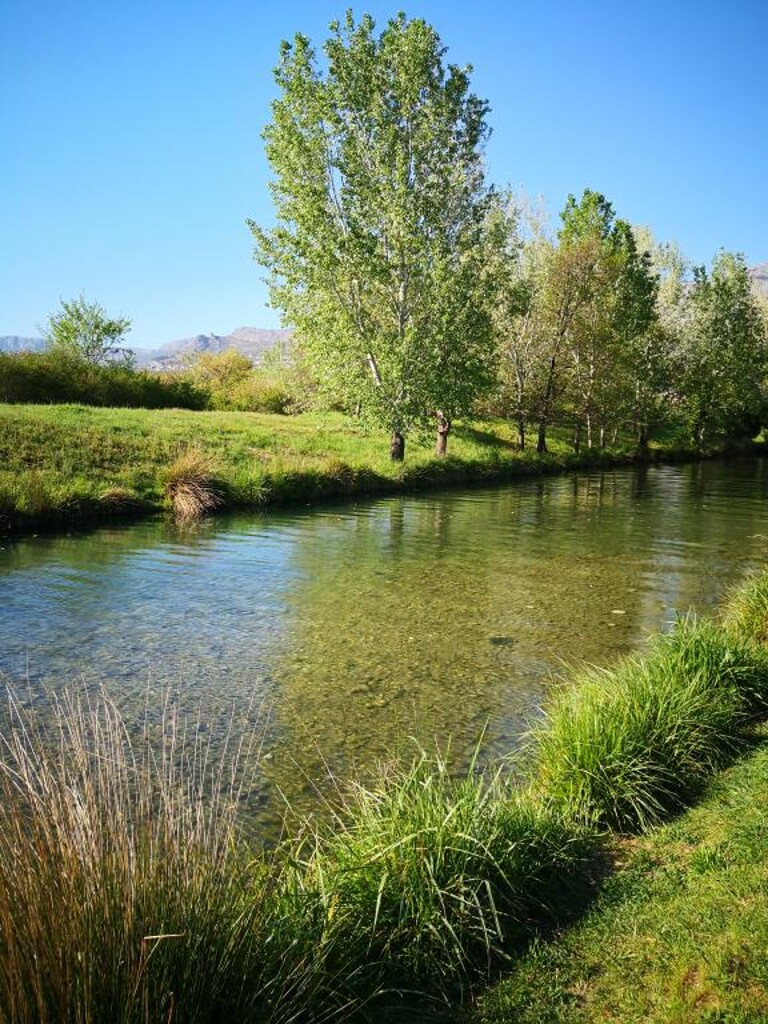 Image 3814486 - 15
