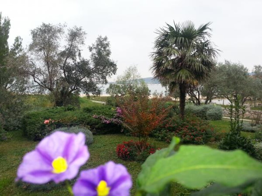Image 3811270 - 27