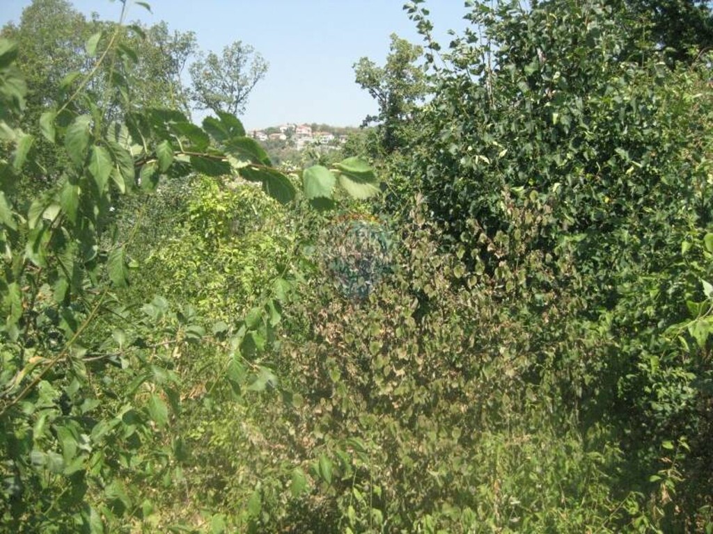 Image 5411277 - 3