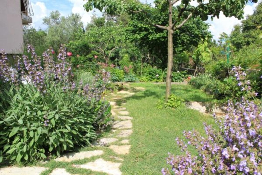 Image 3812078 - 4