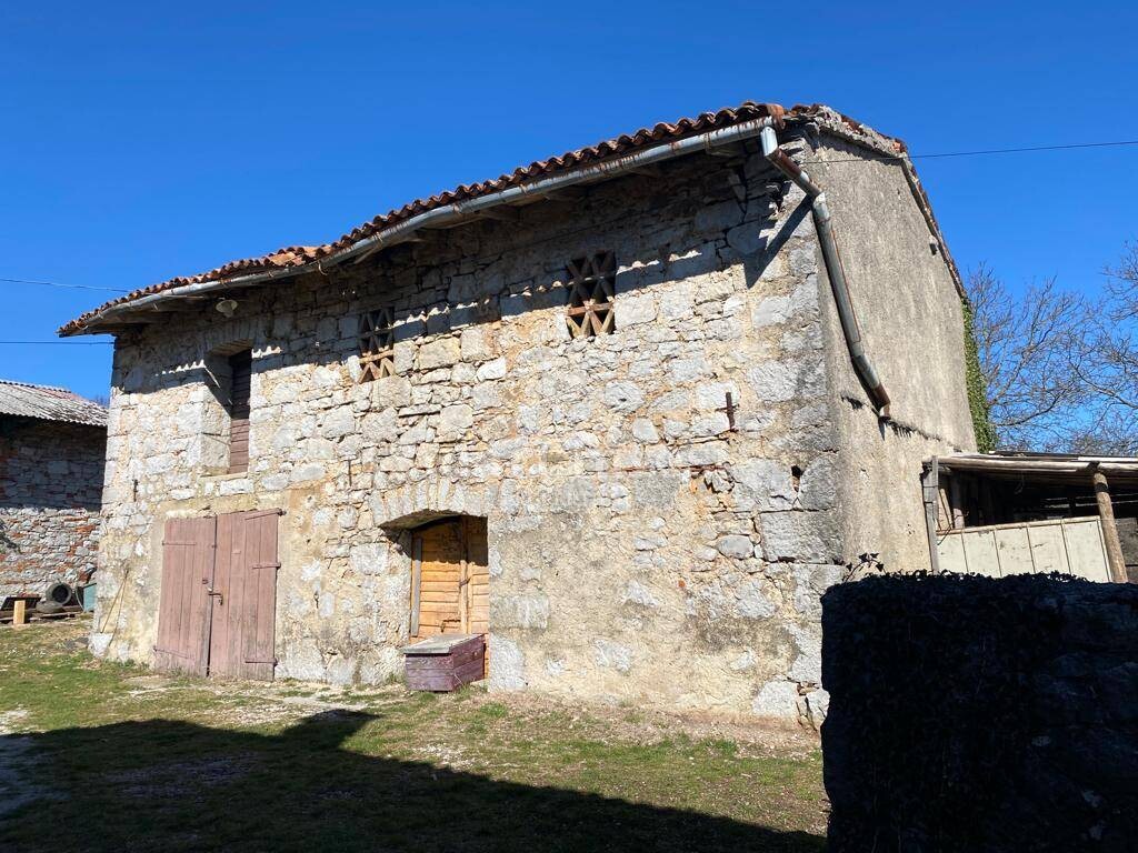 Image 8