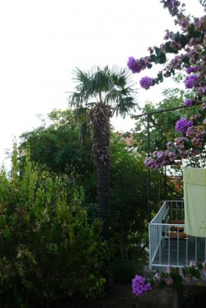 Image 3813512 - 5