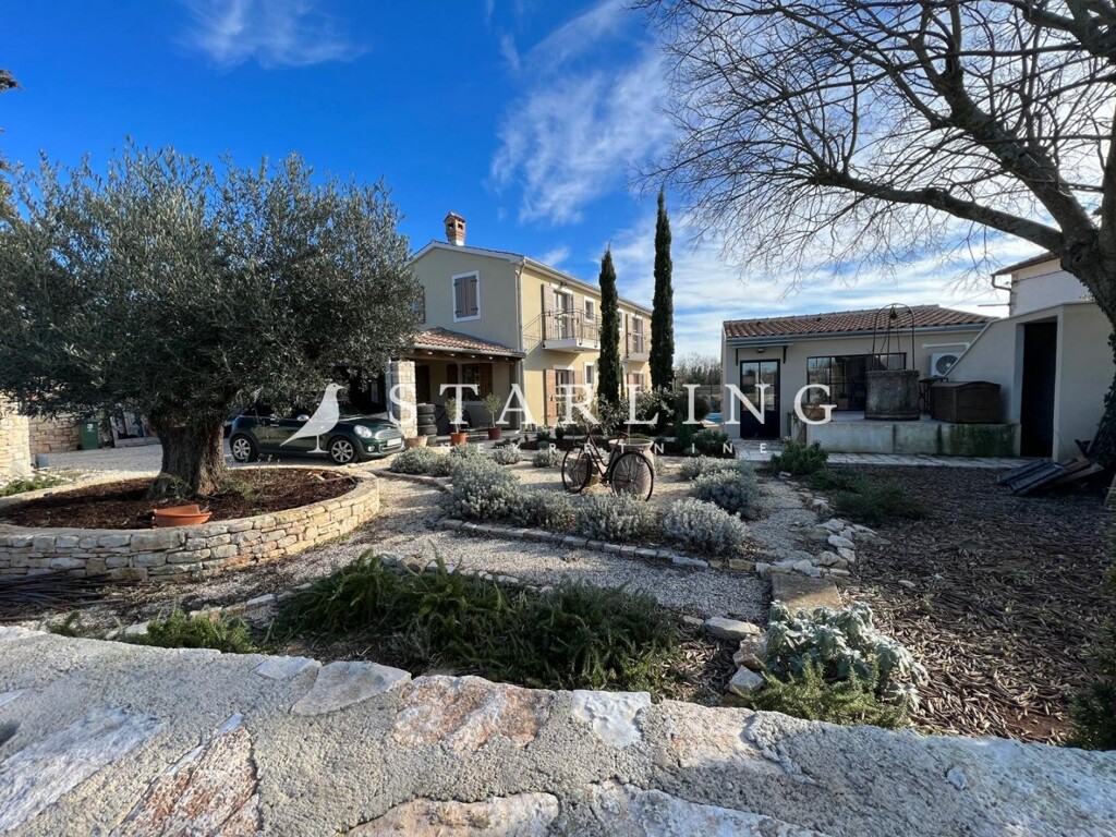 Image 10