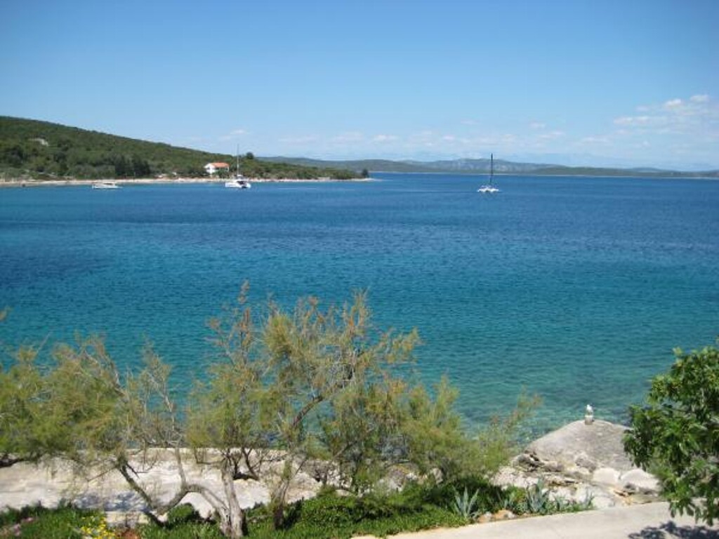 Image 3838781 - 8