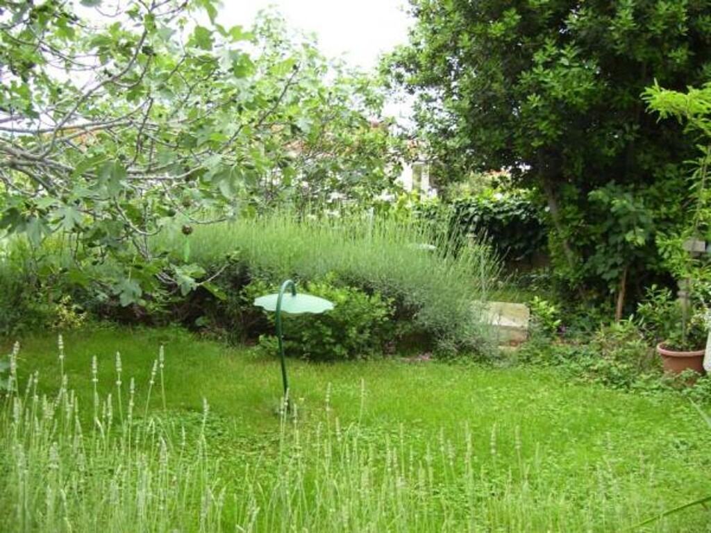 Image 3812603 - 3