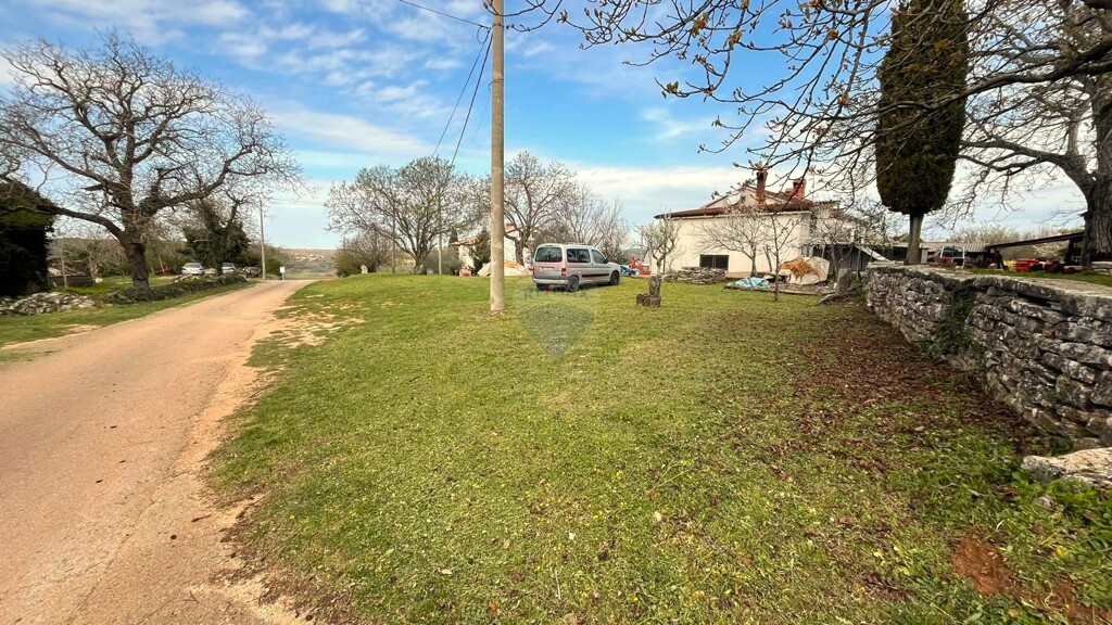 Image 21