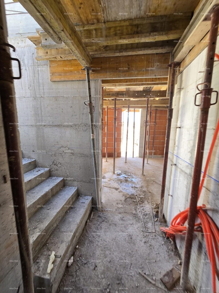 Image 13