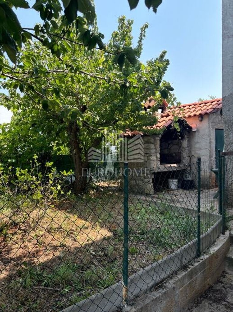 Image 10