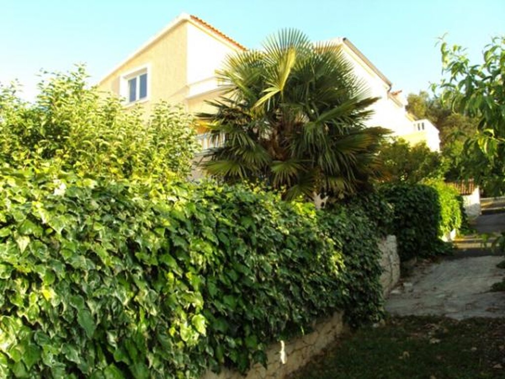 Image 3811347 - 4