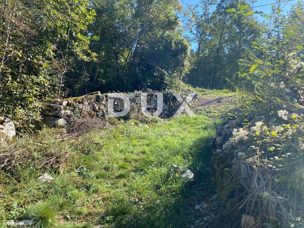 Image 20