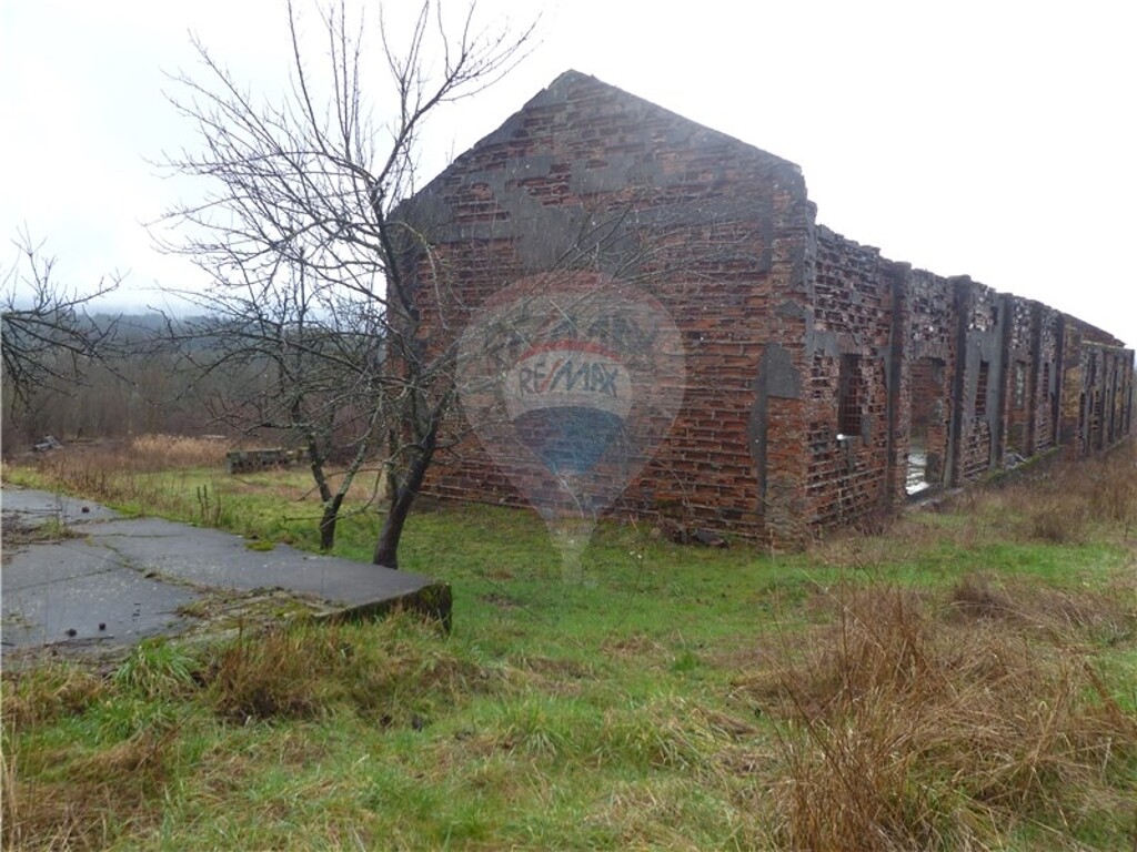 Image 5411093 - 3